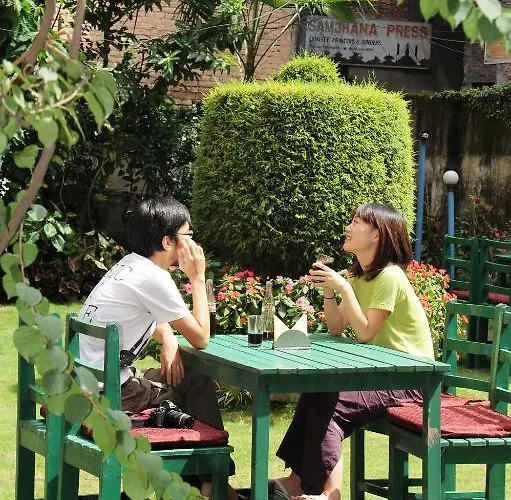 Acme Guest house
